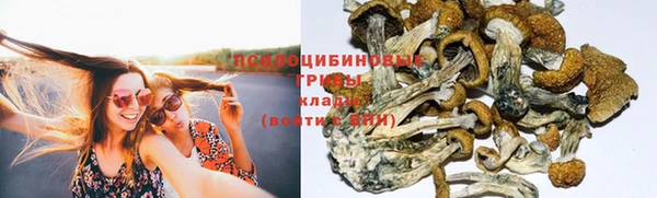 молекула духа Алексин
