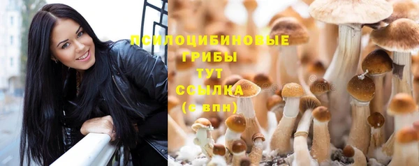 не бодяженный Абдулино