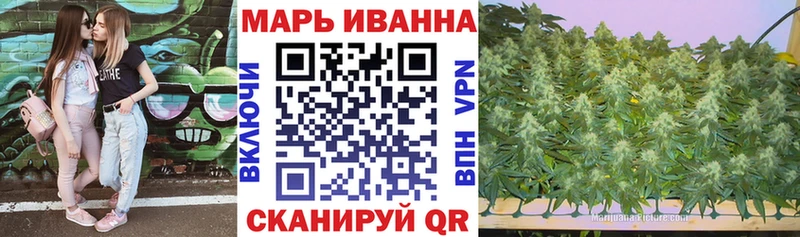 Каннабис OG Kush  Домодедово 